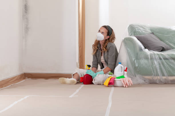 Reliable Mold Remediation contractor in Winburne, PA by Cheap Mold Removal
